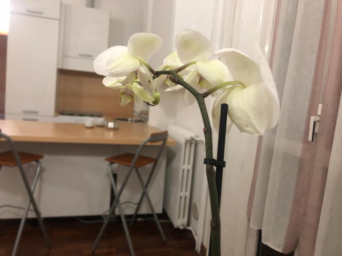 Romantica Darsena Milán Exteriér fotografie